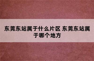 东莞东站属于什么片区 东莞东站属于哪个地方